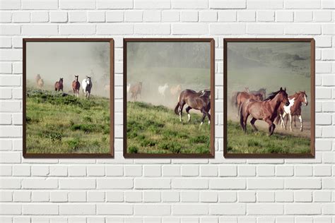 Horses Wall Art Triptych Free Stock Photo - Public Domain Pictures