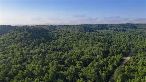 Elk Habitat Conserved, Accessible in Wisconsin | Rocky Mountain Elk ...