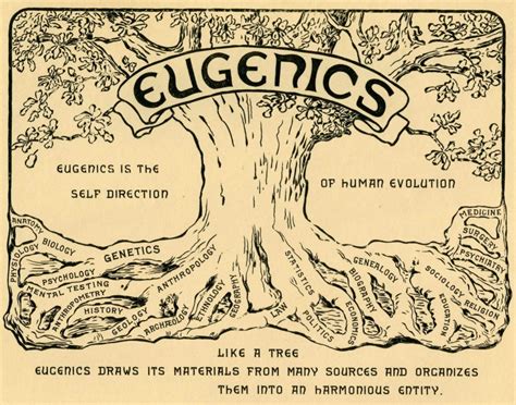 Eugenics | Robin Aris