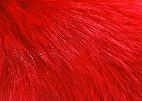 Red fur texture background image