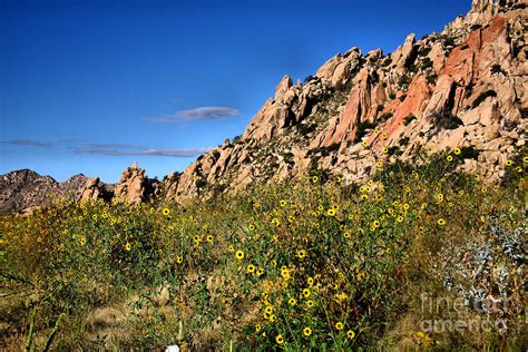 Texas Canyon Arizona Photograph by Patricia Betts