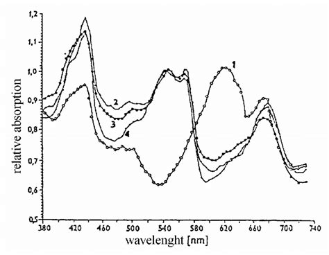 Composition of phycobilins (spectral analysis) from P. rubescens (1 ...