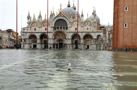 Gallery of Venice Authorities Install Glass Barriers at St Mark’s Basilica to Prevent Flooding - 2