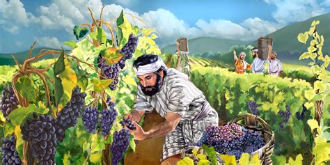 Illustration of the Workers in the Vineyard — Watchtower ONLINE LIBRARY