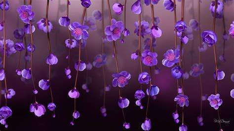 Purple Vine Bloom HD Wallpaper by Ma Donna