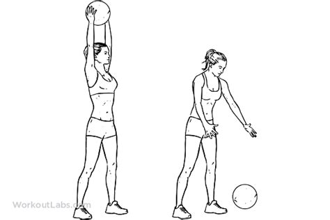 Medicine Ball Slam | Illustrated Exercise guide - WorkoutLabs