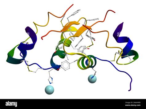 Insulin molecular structure Stock Photo - Alamy