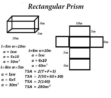 11 Surface Area Rectangular Prism Net Worksheet / worksheeto.com