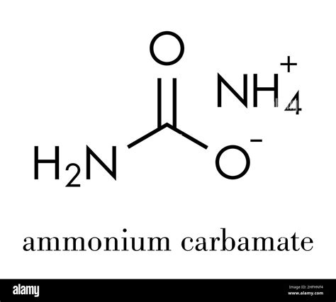 Ammonium carbamate, chemical structure. Skeletal formula Stock Vector Image & Art - Alamy