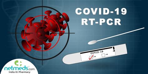 The RT-PCR Test: How This Assay Detects COVID-19 And Other Details ...