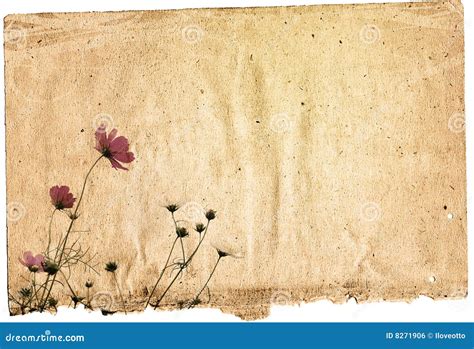 Vintage Flower Paper Background Royalty Free Stock Image - Image: 8271906