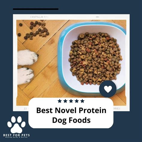 The 7 Best Novel Protein Dog Foods - BestForPets.org