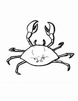 Free Printable Crab Coloring Pages For Kids  Animal Place sketch template