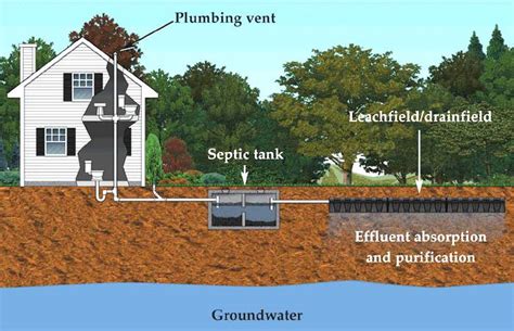 How Much Does A Drain Field Cost - Best Drain Photos Primagem.Org