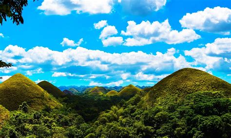 Chocolate Hills Bohol attractions, things to do and guides | Vacationhive