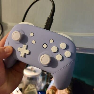 Custom Nintendo Switch Pro Controller light Violet White - Etsy