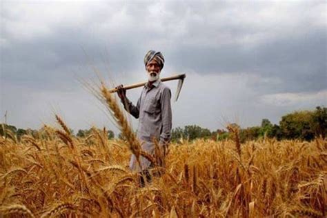 Kisan Credit Card scheme: Rs 1.35 lakh crore credit sanctioned achieved - Economy News | The ...