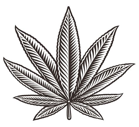 Weed Leaf Cartoon Drawing