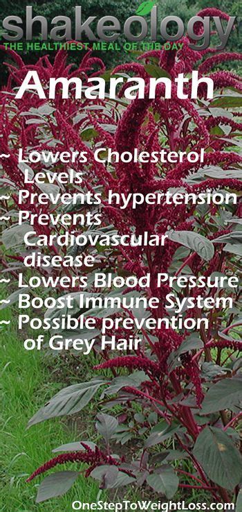 Pin on Health Benefits of Amaranth