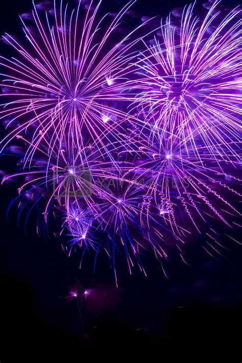 Purple fireworks Royalty Free Stock Image | YAYIMAGES - Royalty Free ...