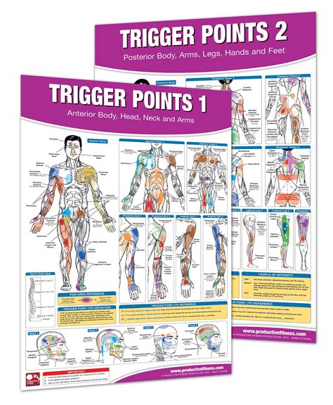 Buy Trigger Point Therapy Chart/ Set; Acupressure Charts - Myofascial Trigger Points - Massage ...