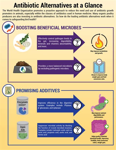 Antibiotic Alternatives at a Glance