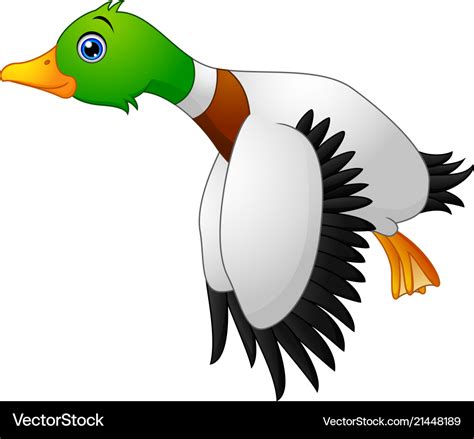 Cartoon duck flying Royalty Free Vector Image - VectorStock