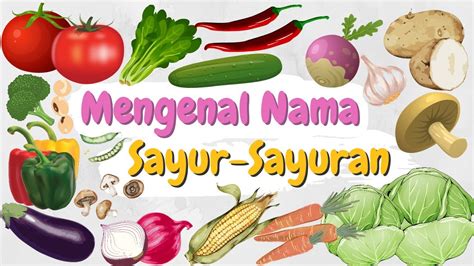 Mengenal Nama-Nama Sayur : Belajar Nama Sayur-Sayuran Untuk Anak - YouTube