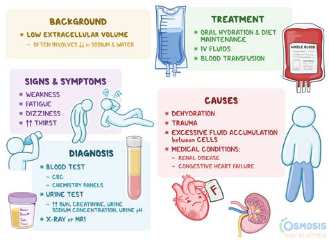 Hypovolemic Shock Chart