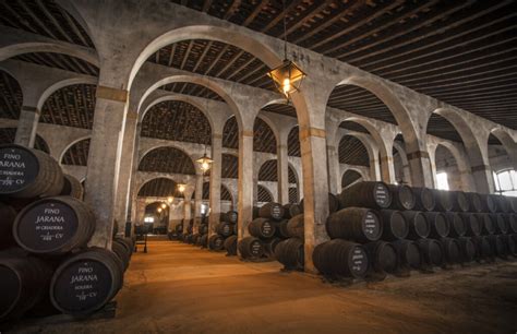 Sherry explained: A fortified wine experiencing a global renaissance