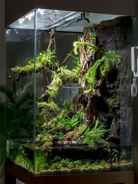 IMG_9241 | Water terrarium, Planted aquarium, Aquarium design