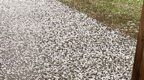 What causes hail and sleet to fall during storms?