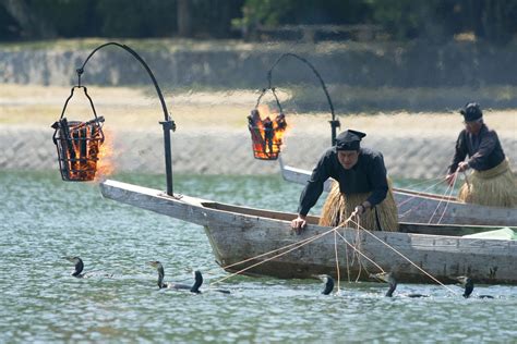 Ukai ~ a traditional method of catching small Japanese trout by ...