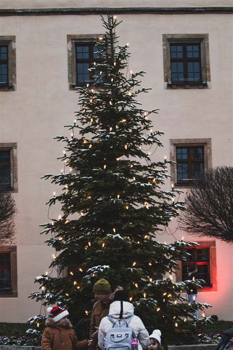 DVIDS - Images - Grafenwoehr Community Holds Christmas Market [Image 9 of 16]