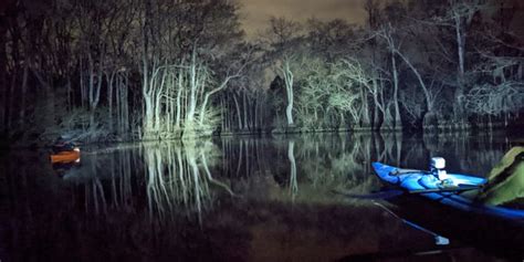 Backwater Expeditions - Night Paddles, Ebenezer Creek