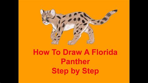 Florida Panther Drawing at GetDrawings | Free download