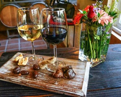 10 Best San Diego Wineries You MUST Try If You Love Wine