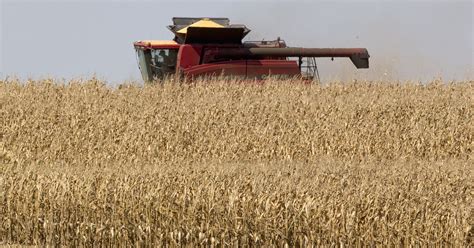 Report: Climate change could devastate agriculture