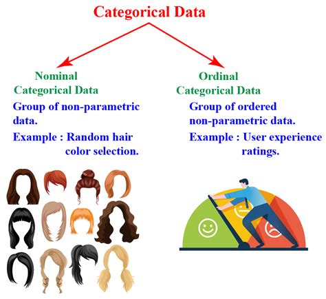 Types Of Categorical Data