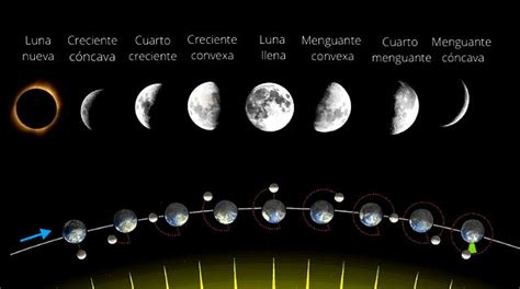 Fases de la luna: cuáles son y cuándo suceden - Calendarr