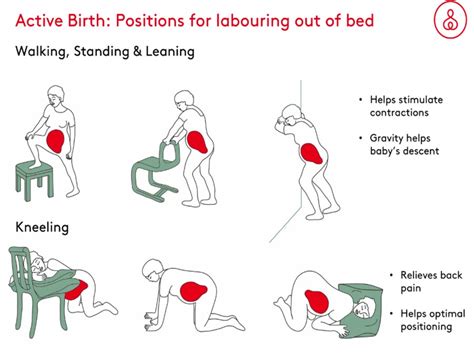 Active Childbirth (Positions For Labour) Chart Poster Laminated | ubicaciondepersonas.cdmx.gob.mx