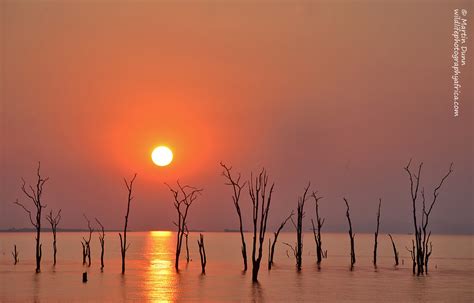 Matusadona, a birding paradise on the shores of Lake Kariba