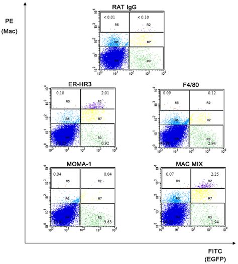 Macrophage marker flow cytometry on M-lys lys-EGFP/+ intestinal LPMNCs ...