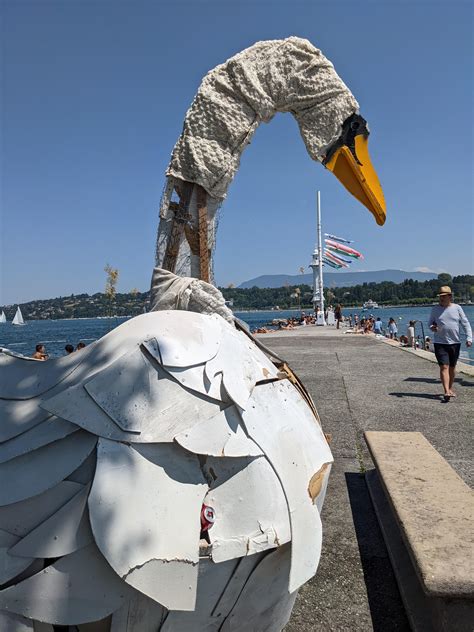 this swan 'sculpture' : r/oddlyterrifying