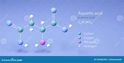 Aspartic Acid, Molecular Structures, Amino Acid, 3d Model, Structural ...