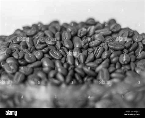 Bean Black and White Stock Photos & Images - Alamy
