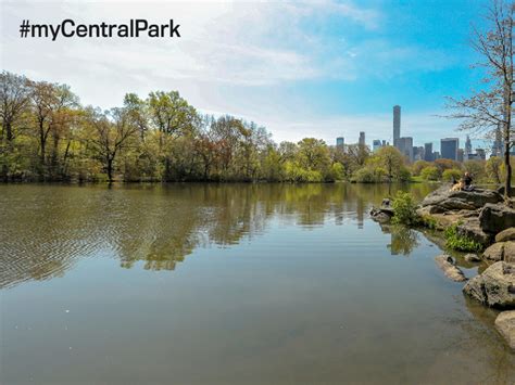 Digital Backgrounds: Zoom | Central Park Conservancy