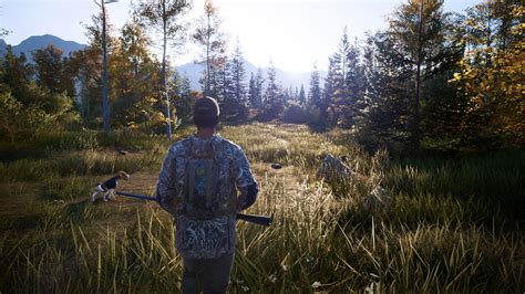 Hunting Simulator 2 Review - GameSpace.com