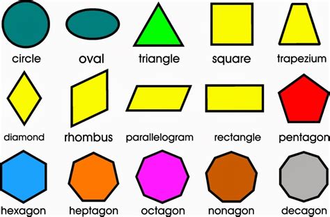 Warren Sparrow: 2D Shapes