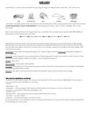 MRS GREN worksheet-1.pdf - MRS GREN Classification is a word used to ...